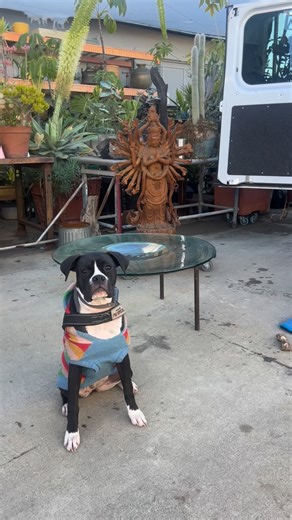 Divine's-quality vintage decor on Instagram: "Lottie is helping me unload new treasures for you while that bum Jax is napping on the job. Several new 80s modern/deco revival pieces, wood carvings, bronze statuary, Italian sofa and chairs, French bed set…… and it won’t all make it to IG, come in and see it all today till five at Divine’s!"