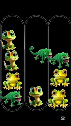 Funny Game.Pascal Quiz. #funny #guessinggame #quiz #quiztime