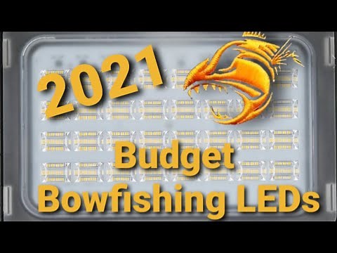 Best Bowfishing LED 2021