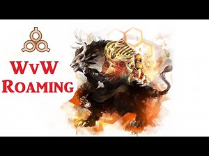 GW2 Tools Rifle Holosmith WvW Roaming Build Guide