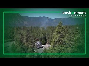 How Washington state is reshaping its forests to survive the next wildfire