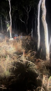 2.3M views · 13K reactions | Angry little fella Chuck and madam put the breaks on in the grass | Bivouac Boyz | Facebook