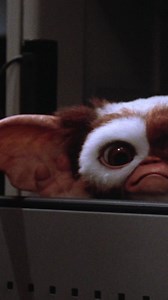 2.6K views · 43 reactions | Who hurt Gizmo more? The Gremlins or was it actually Billy? | Gremlins Museum | Facebook