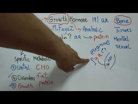 Growth Hormone (Introduction, Functions and Control) Endocrine Physiology Dr Mohamed Fayez