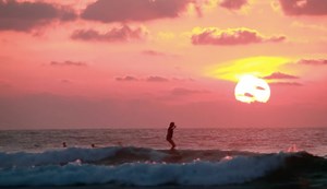 Feral is a Surf Film that Cannot Be Tamed | The Inertia