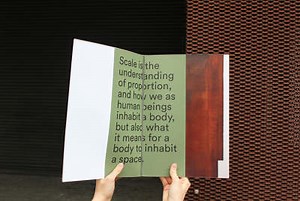 Fit to Scale - Cecilia McCormick