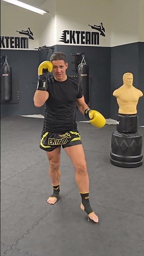The Low Kick #martialarts #combatsports #kickboxing #lowkick