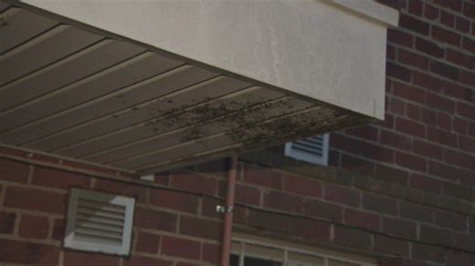 The hidden threat of mold, and how to protect yourself