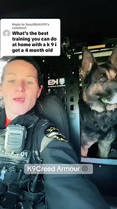 5.4K views · 435 reactions | reward good behavior and correct bad behavior. Work on No Jumping. Ignore them if they jump(turn away from them) then reward them when all 4 paws are on the ground. Good luck! #police #fyp #k9armour #dog #policedog #pet #policek9 #k9creed #viral #reels #funny #satisfying #k9handler | Andrea.n.k9creed | Facebook