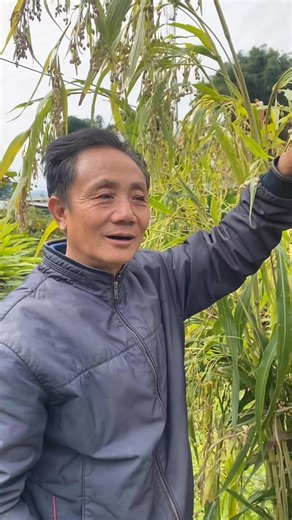 47K views · 540 reactions | This should be promote for the betterment of organic agriculture field #agriculture #organic #farming | Agiso Minin | Facebook