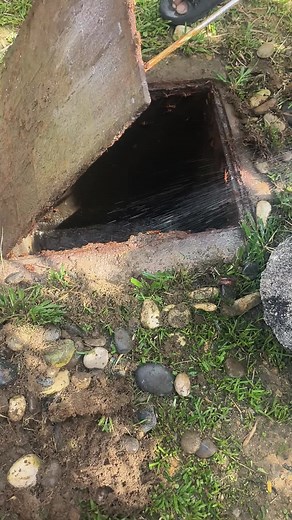 AJPESTSERVICE on TikTok