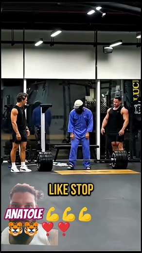 Anatole 🐯🐯💪💪