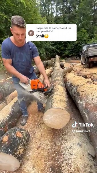 Using a Chainsaw for Log Cutting in the Forest