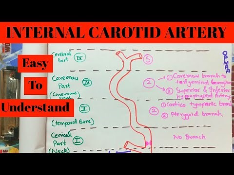 Internal Carotid Artery- Anatomy - Classification - Parts - branches | Easy way to Learn - Hindi
