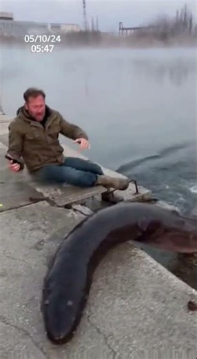 CAUGHT a MUTANT FISH in Chernobyl! Giant Monster at the Nuclear Plant.