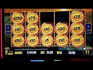 Dragonlink lightning Link Australia Max bet!