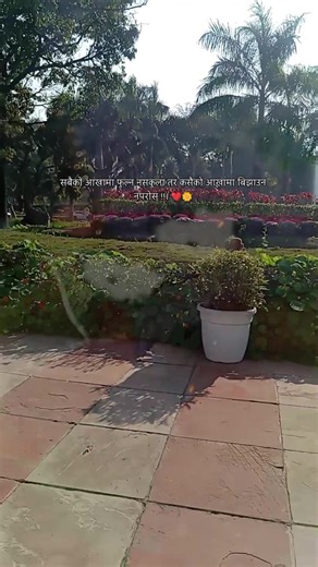 Bna Bna (@bna.bna0)’s videos with original sound - Bna Bna