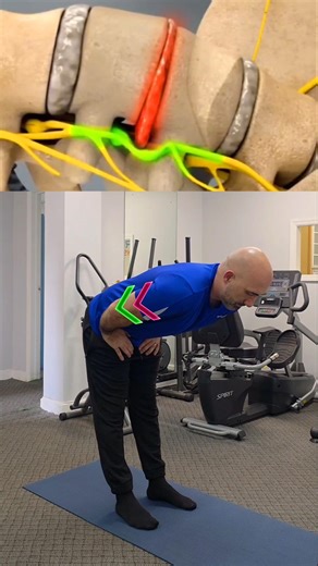 Exercises for Lower Back Pain: How to Get Rid of Lower Back Pain?