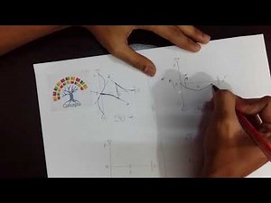 Structural Analysis & Design III: Problem 3 Influence Line Drawing for Indeterminate Frame