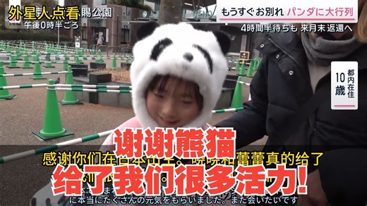 （8分钟，有字幕）东京失去熊猫，京都失去游客，高市早苗一句话，重创日本旅游业，🤦现在后悔了？