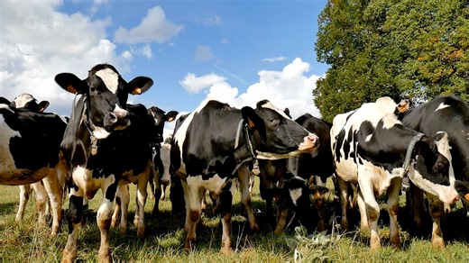 1.3K views · 129 reactions |  Curbing #methane emissions could deliver immediate and long-lasting benefits for the climate, seeing as the gas only lingers in the atmosphere for a relatively short time.  How can satellite support this goal? 樂 Find out in our latest video!  | ESA - European Space Agency | Facebook