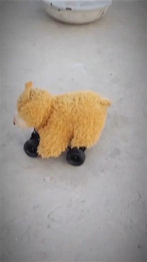 Remote Control Rc Car And Funny Dog Unboxing And Funny Shorts 😄 ||