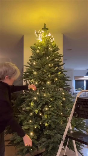 🎄Here’s the best Christmas Tree light hack from Amazon! Fast, easy and no tangling. It’s never been this easy to get the VIRAL CHRISTMAS TREE look! No need to buy a new tree! Simply secure the plastic ring around the top of your tree. Release the individual light strands. Unlike other lights these wires are plastic coated and resist tangling. So easy—no tangling, no frustration! Only lots and lots of magical lights! Note: We create this look by adding these lights to a Pre-lit Christmas tree. A