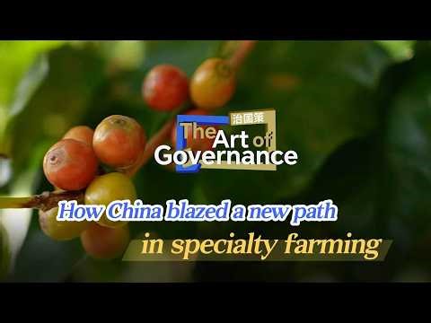 The Art of Governance: How China blazed a new path in specialty farming