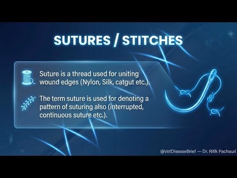 Veterinary Sutures: Materials, Types & Techniques | Vet Disease Brief