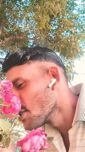 फुल गुलाब का #filter