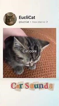 Cats and Their Random Funny Sounds | Try Not to Lauh