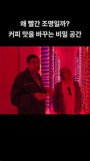 왜 빨간 조명일까 커피 맛을 바꾸는 비밀 공간