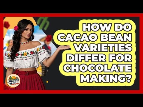 How Do Cacao Bean Varieties Differ For Chocolate Making? - Magical Mexico Moments