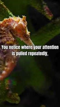 Quietly Trained - Control Begins with Seeing the Pattern Clearly