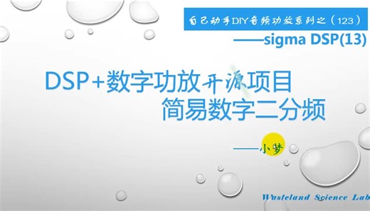 DSP 数字功放开源项目简易数字二分频—DIY音频功放（123）