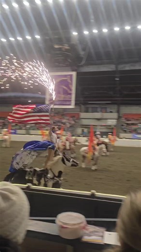 Fantasia: A Musical Celebration of the Horse