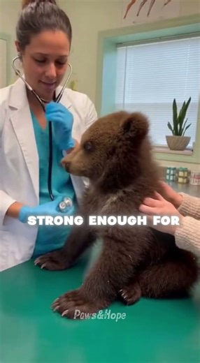 He Saved A Dying Cub... Years Later, THIS Happened 🐻❤️
