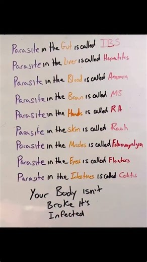 You’re not broken — your body is overwhelmed. Your symptoms aren’t who you are. They’re messages from a body that has been carrying far more than it was ever designed to handle. Parasites, stress, processed food, emotional weight, toxins, sleepless nights — the world has piled a lot on us. And most of us were never taught how to release what’s been burdening us. Your body is not your enemy. It has been fighting for you this entire time. The moment you stop trying to “fix yourself” and start list