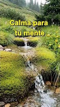 Respira en Calma 💧🤍 | 2 Minutos de Música Suave y Agua Relajante #shorts