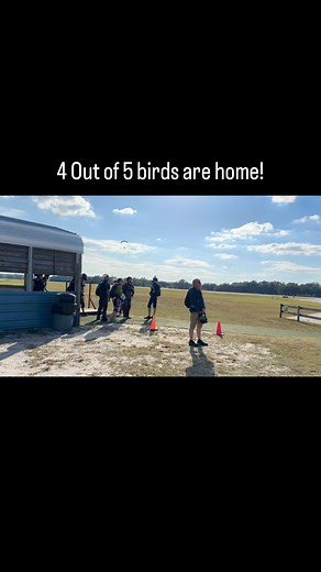 The second shorty is back home for the winter @skydivecity! | Skydive City