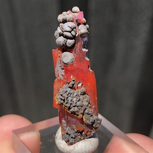 3.4cm Crocoite Crystal With Goethite From Red Lead Mine, Tasmania, Australia - Etsy