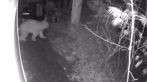 Honeywell LED Desk Lamp for Home Office, Eye-Caring Light with 4 Color Modes & Touch Control, USB A+C Charging Ports, Adjustable Rotating Head with Timer for Reading, Bedroom & Small Desks