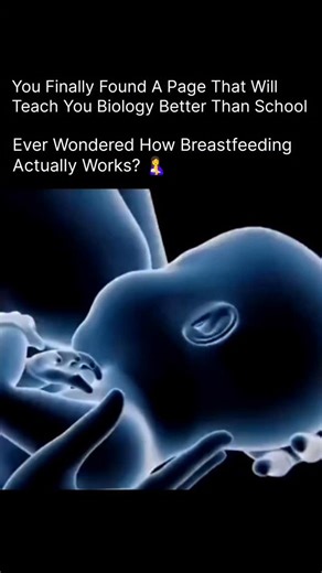 BIOLOGY | MEDICAL | HEALTH on Instagram: "It’s a natural process guided by hormones and deep biological connection. When your baby suckles, the body releases prolactin, which helps produce milk, and oxytocin, which triggers the “let-down reflex” — allowing milk to flow through the milk ducts to the nipple. 🍼 This creates a beautiful feedback loop — the more your baby feeds, the more milk your body makes. 🌿 Breast milk adjusts perfectly to your baby’s needs — providing antibodies,