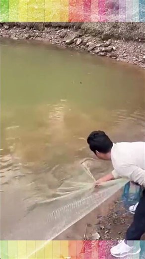 Why Local Fishermen Use This Giant Cast Net for Massive Hauls! #FishingTechnique [00:01]