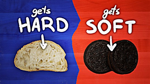 Why does bread get hard but Oreos get soft? The science of staling explained!