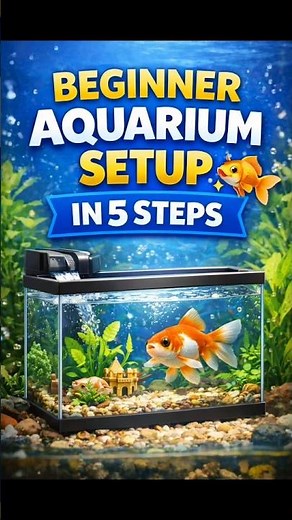 Beginner Aquarium Setup in 5 Steps 🐟