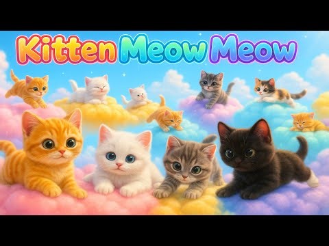 Colorful LEGO and Cute Kittens 🐱🌈 | Kitten Meow Meow for Kids