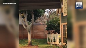 56K views · 545 reactions | #BREAKING: HFD crews are battling a brush...