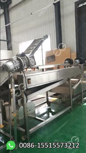 Automatic Fruit Strawberry Washing Machine