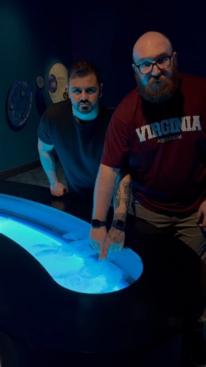 Bring your bestie to the Aquarium for FREE in March with a Membership and make fun memories like these together! 🧍‍♂️🧍‍♂️ We're celebrating Member Madness now through March 31, giving Members the chance to enjoy bonus perks like bringing a friend for free all month long, 2 months of Membership free when you buy or renew your Membership in March, and other great deals on top of our year-round Member benefits. Learn more on our website at the link in the comments! Video Description: Two guys vis
